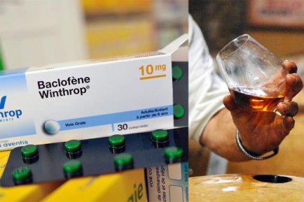 bacloetalc.jpg (26944 octets)