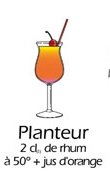 planteur.jpg (4286 octets)